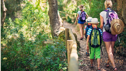 Kauai's Family Friendly Activities