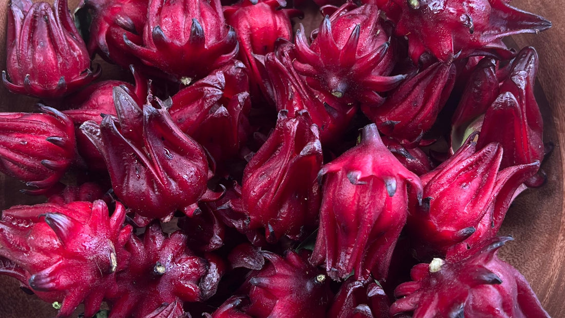 Roselle Jam by Cooking Kauai