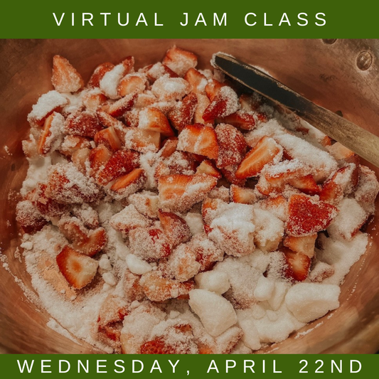 Virtual Beginners Jam Class